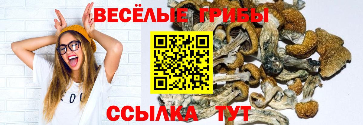 Красный Сулин  Галлюциногенные грибы Magic Shrooms  Вход с VPN 